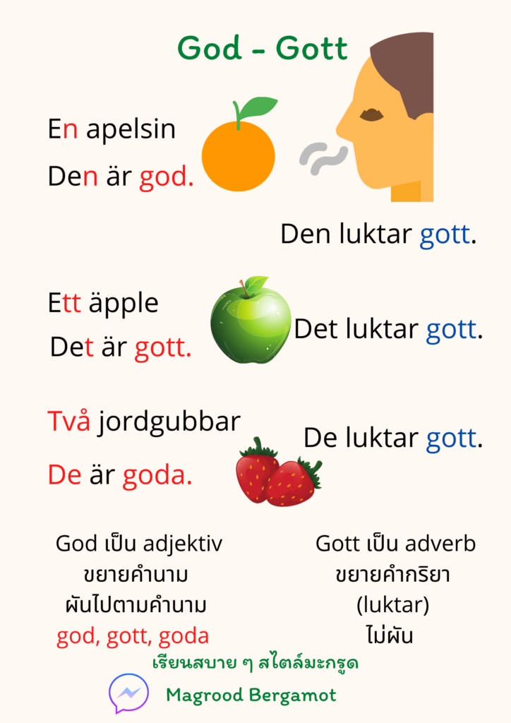 Adjektiv & Adverb คำคุณศัพท์ และคำวิเศษณ์